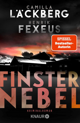 Camilla Läckberg, Henrik Fexeus: Finsternebel