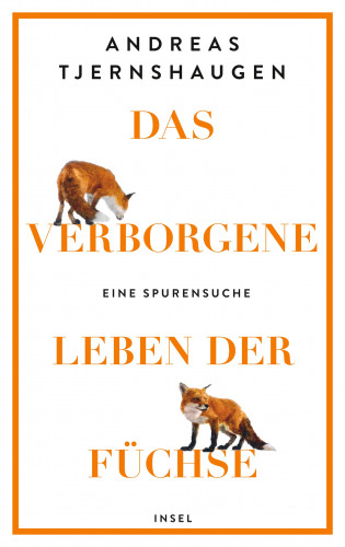 Andreas Tjernshaugen: Das verborgene Leben der Füchse