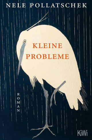 Nele Pollatschek: Kleine Probleme