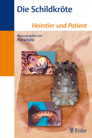 Petra Kölle: Die Schildkröte