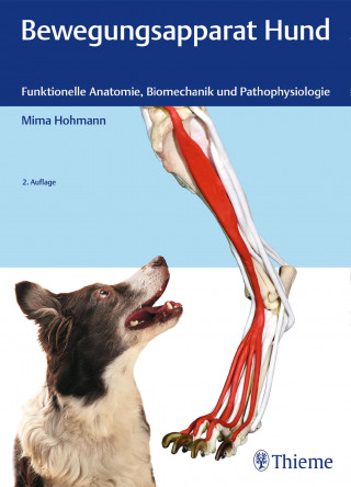 Mima Hohmann: Bewegungsapparat Hund