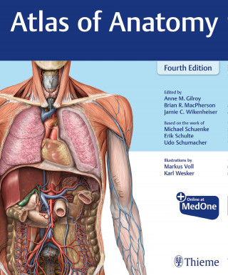 Anne M Gilroy, Brian R MacPherson, Jamie Wikenheiser, Michael Schuenke, Erik Schulte, Udo Schumacher: Atlas of Anatomy