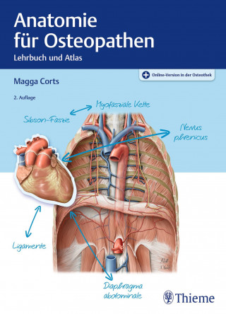 Magga Corts: Anatomie für Osteopathen