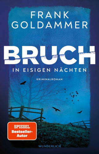 Frank Goldammer: Bruch: In eisigen Nächten