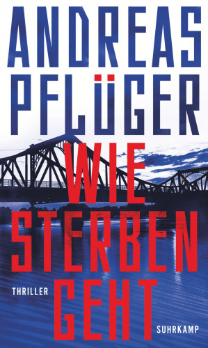 Andreas Pflüger: Wie Sterben geht