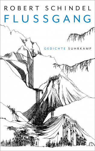 Robert Schindel: Flussgang