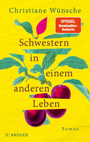 Christiane Wünsche: Schwestern in einem anderen Leben