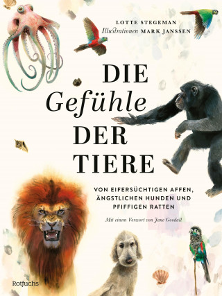 Lotte Stegeman: Die Gefühle der Tiere: Von eifersüchtigen Affen, ängstlichen Hunden und pfiffigen Ratten