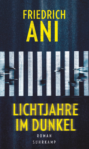 Friedrich Ani: Lichtjahre im Dunkel