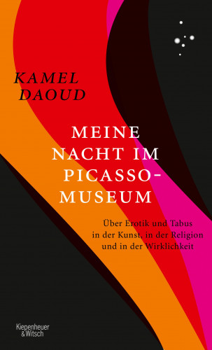Kamel Daoud: Meine Nacht im Picasso-Museum