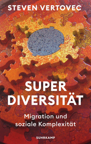 Steven Vertovec: Superdiversität