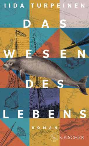 Iida Turpeinen: Das Wesen des Lebens
