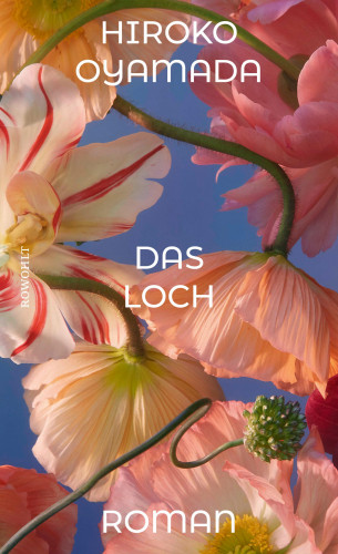 Hiroko Oyamada: Das Loch