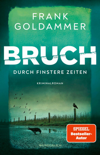 Frank Goldammer: Bruch: Durch finstere Zeiten