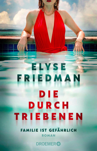 Elyse Friedman: Die Durchtriebenen