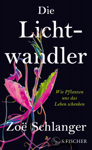 Zoë Schlanger: Die Lichtwandler