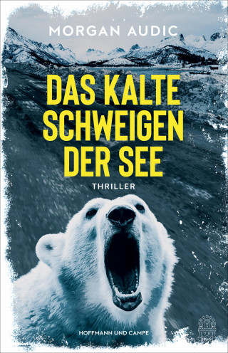 Morgan Audic: Das kalte Schweigen der See