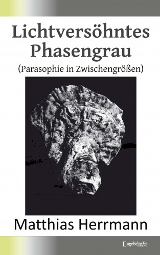 Matthias Herrmann: Lichtversöhntes Phasengrau