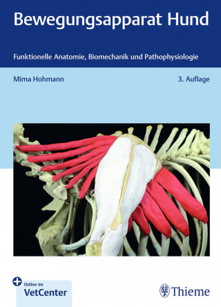 Mima Hohmann: Bewegungsapparat Hund