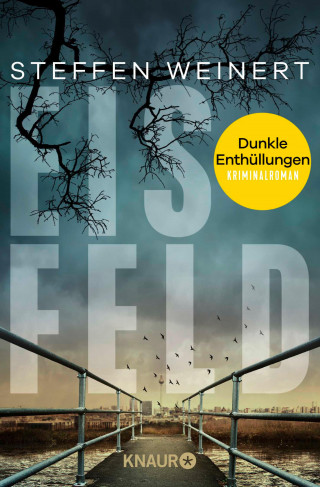 Steffen Weinert: Eisfeld – Dunkle Enthüllungen