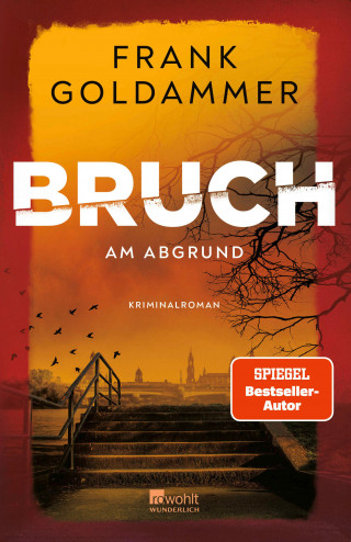 Frank Goldammer: Bruch: Am Abgrund