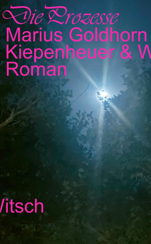 Marius Goldhorn: Die Prozesse