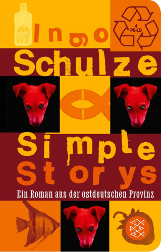 Ingo Schulze: Simple Storys