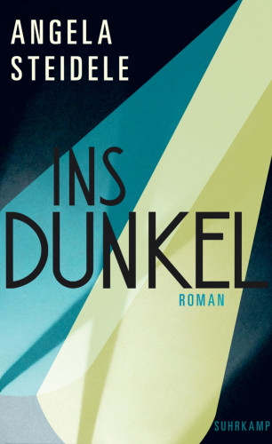 Angela Steidele: Ins Dunkel