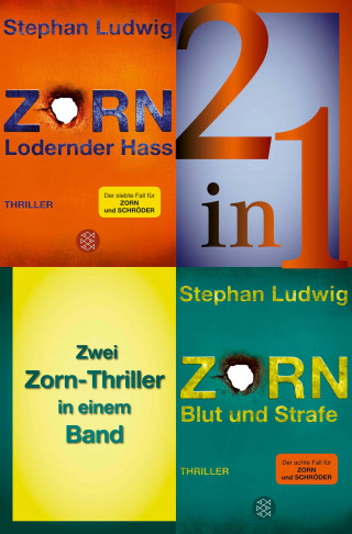 Stephan Ludwig: Lodernder Hass / Blut und Strafe – Zwei Zorn-Thriller in einem Band