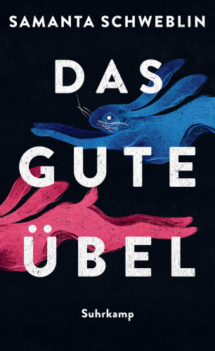 Samanta Schweblin: Das gute Übel