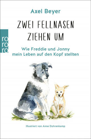 Axel Beyer: Zwei Fellnasen ziehen um