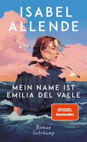 Isabel Allende: Mein Name ist Emilia del Valle