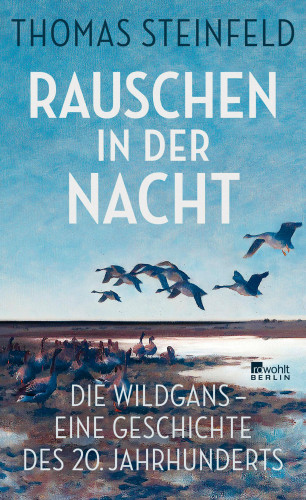 Thomas Steinfeld: Rauschen in der Nacht
