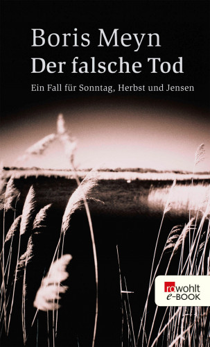 Boris Meyn: Der falsche Tod