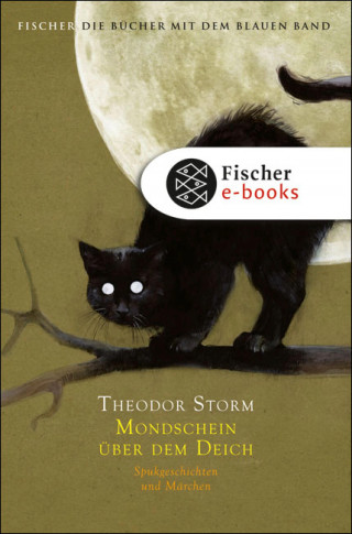 Theodor Storm: Mondschein über dem Deich