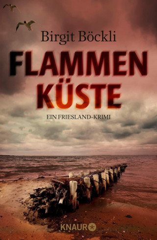 Birgit Böckli: Flammenküste