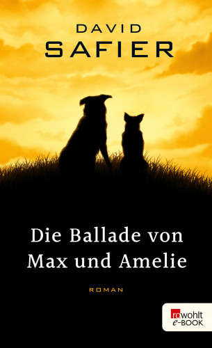 David Safier: Die Ballade von Max und Amelie