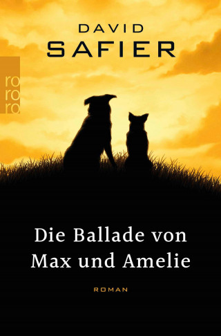 David Safier: Die Ballade von Max und Amelie
