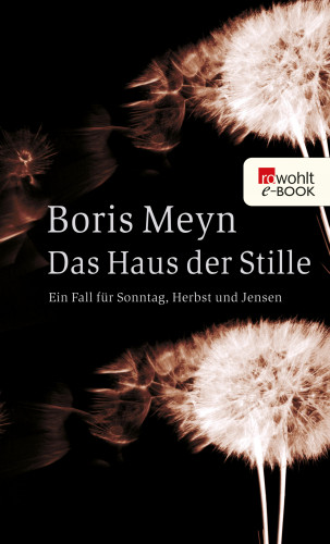 Boris Meyn: Das Haus der Stille