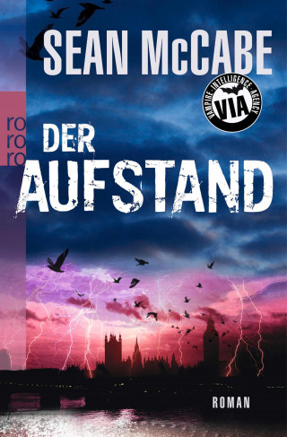 Sean McCabe: Der Aufstand