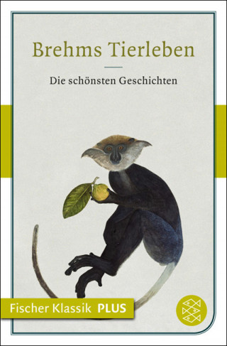 Alfred Edmund Brehm: Brehms Tierleben
