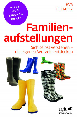 Eva Tillmetz: Familienaufstellungen (Fachratgeber Klett-Cotta)