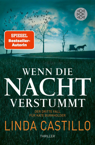 Linda Castillo: Wenn die Nacht verstummt