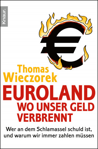 Thomas Wieczorek: Euroland: Wo unser Geld verbrennt