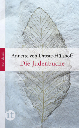 Annette von Droste-Hülshoff: Die Judenbuche