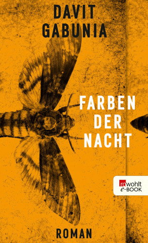 Davit Gabunia: Farben der Nacht