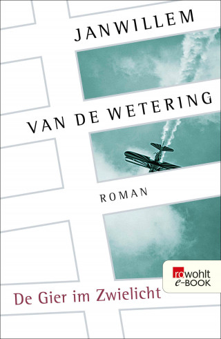 Janwillem van de Wetering: De Gier im Zwielicht