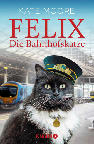 Kate Moore: Felix - Die Bahnhofskatze
