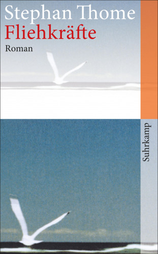 Stephan Thome: Fliehkräfte