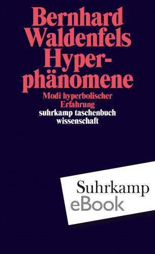 Bernhard Waldenfels: Hyperphänomene